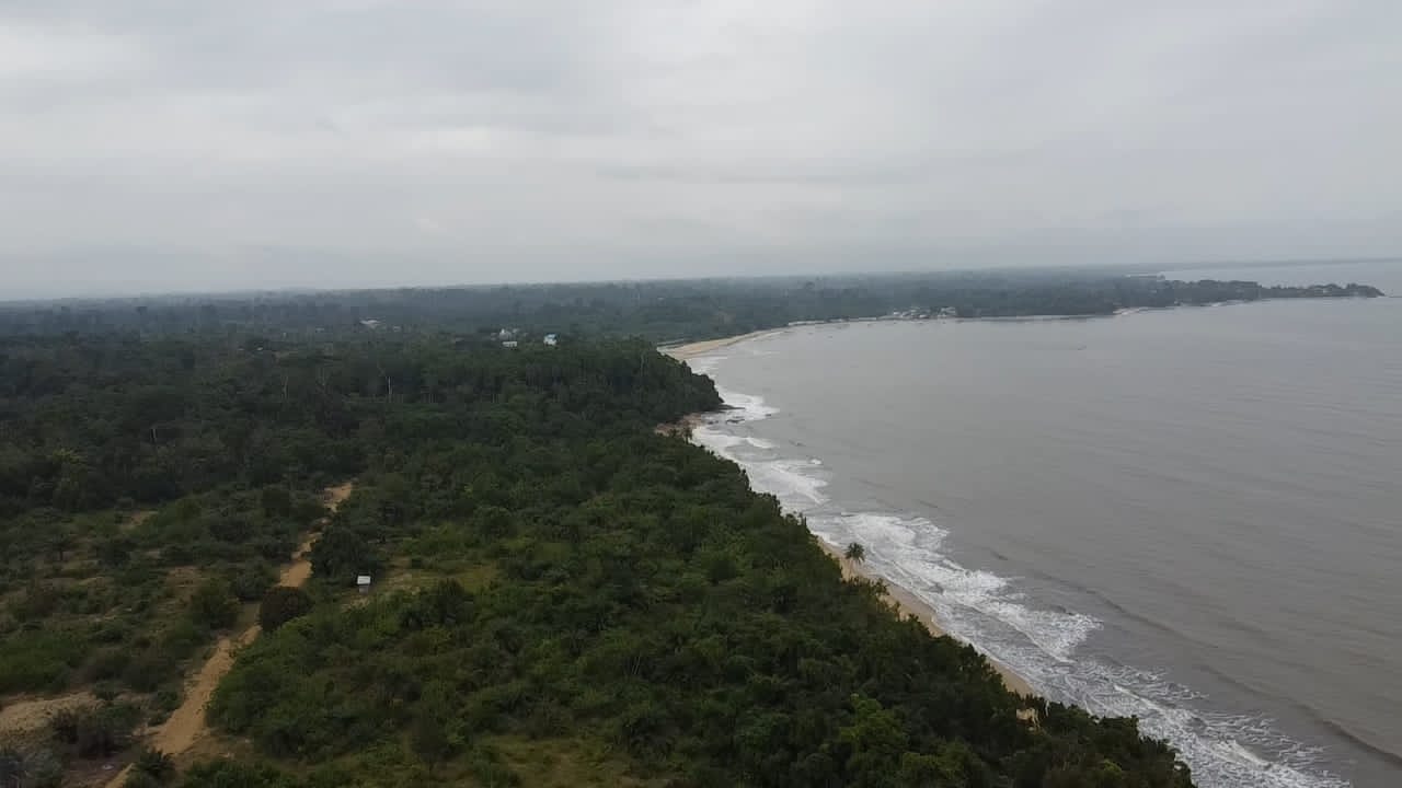 kribi londji